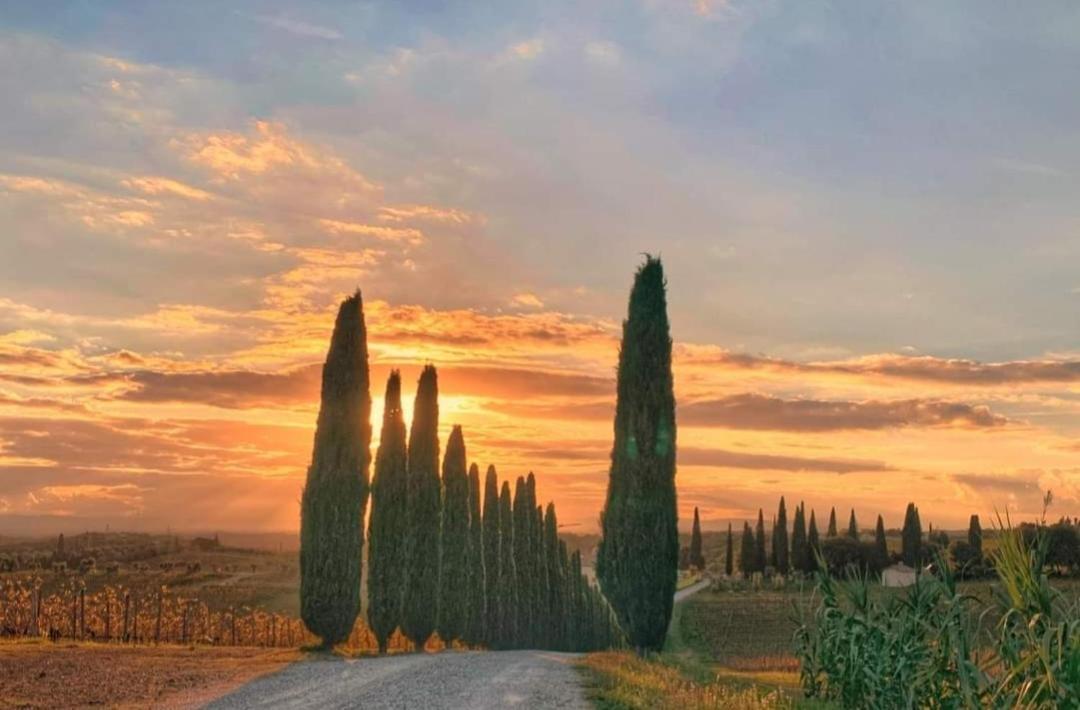 Апартаменти Casa Guardiavigna In Chianti San Gusme Екстер'єр фото