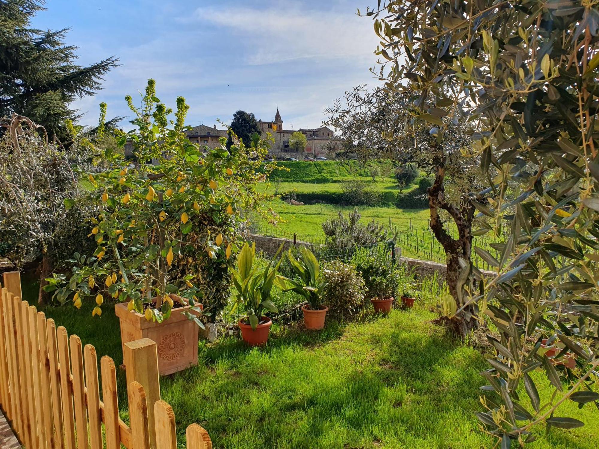 Апартаменти Casa Guardiavigna In Chianti San Gusme Екстер'єр фото